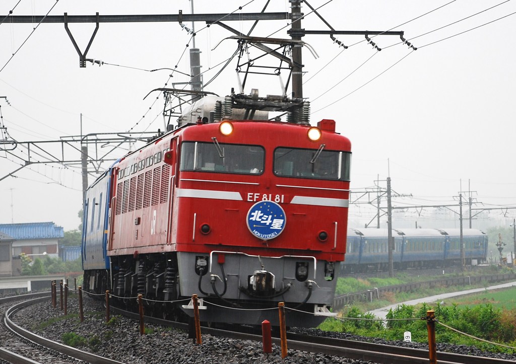 EF81-81