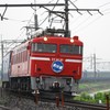 EF81-81