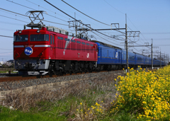 北斗星