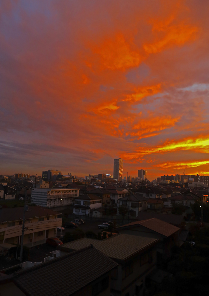 夕日