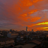 夕日