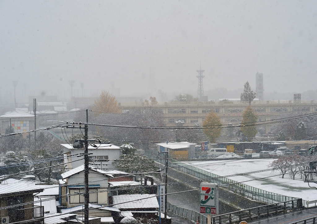 54年ぶり11月の雪