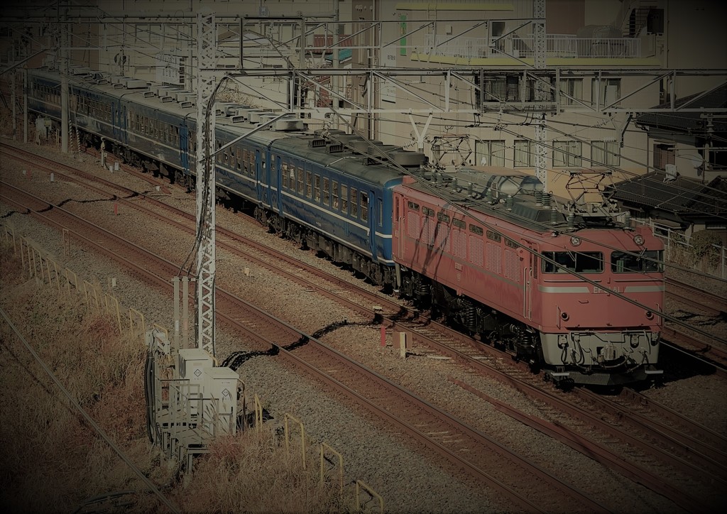 EF81-81
