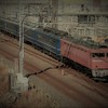 EF81-81