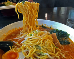 大吟醸味噌ラーメン丸高屋総本店 丸高味噌ラーメン大盛