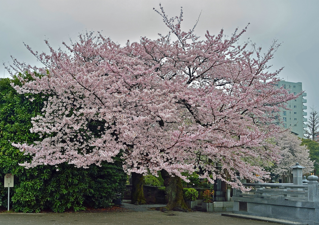 諏訪山吉祥寺