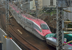 E6系
