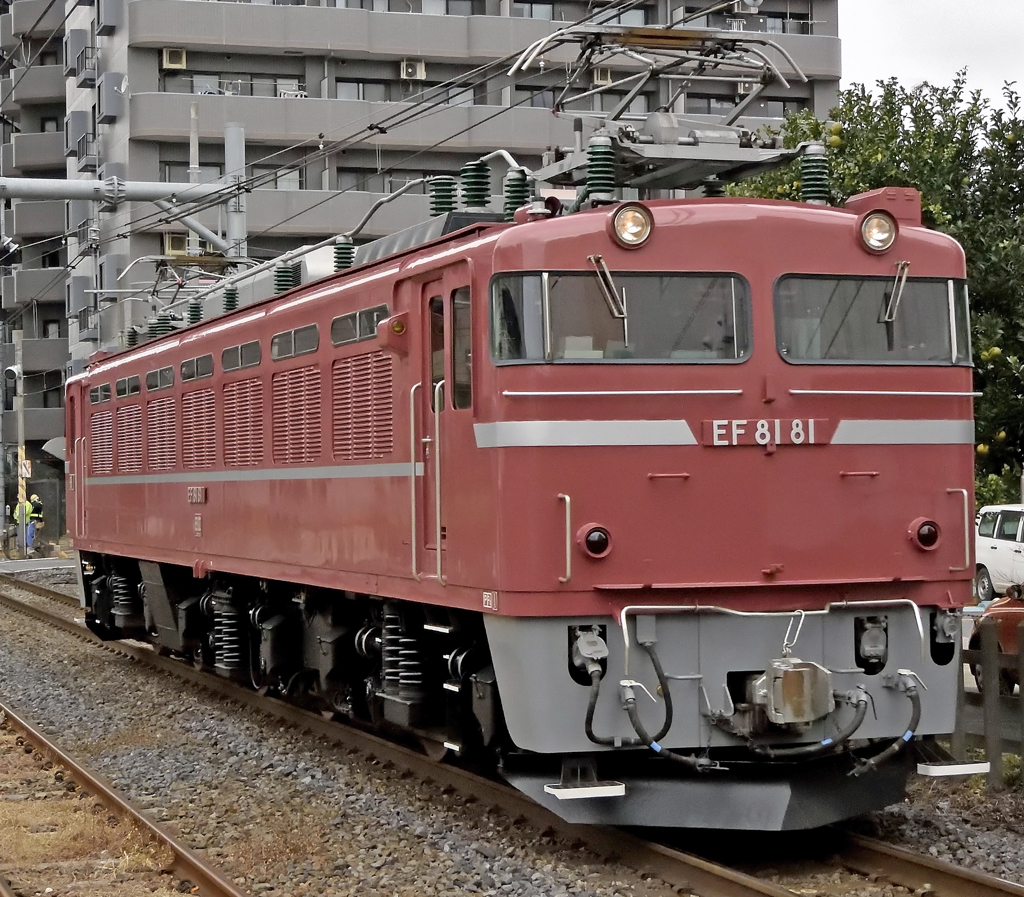 EF81-81