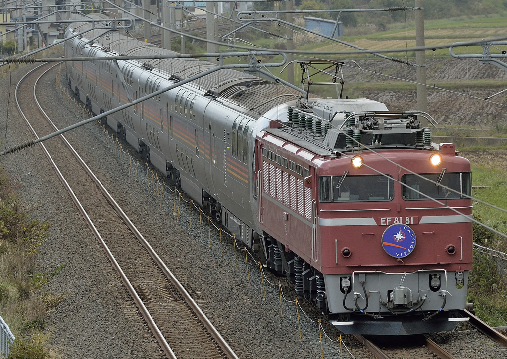 EF81-81