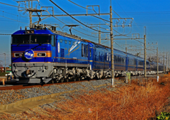 EF510-504