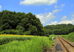 線路は続くよどこまでも