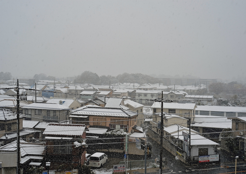 54年ぶり11月の雪