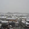 54年ぶり11月の雪