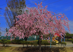 上平公園