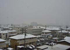 54年ぶり11月の雪