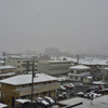 54年ぶり11月の雪