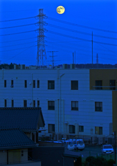 中秋の名月