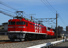 EF81-95