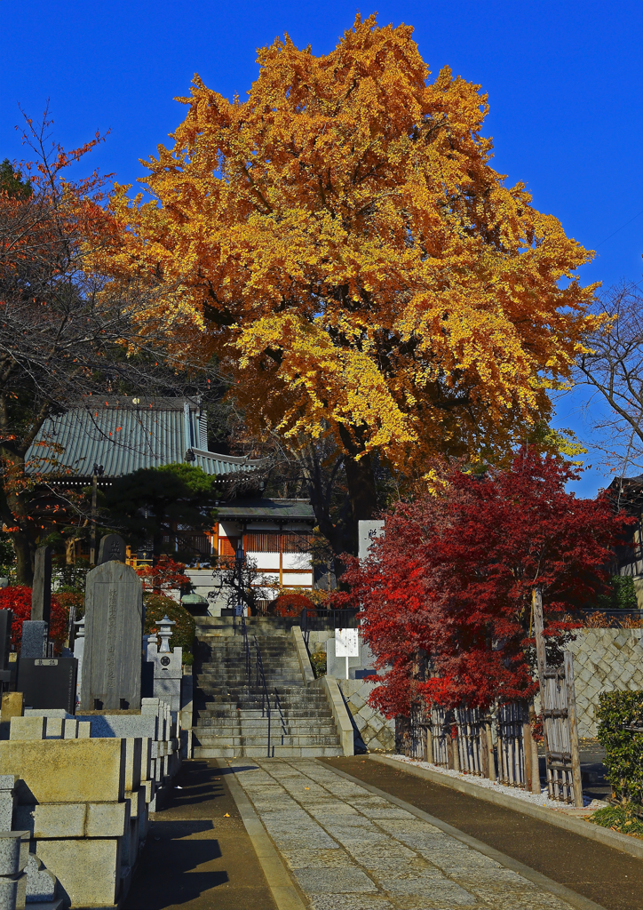 地福寺