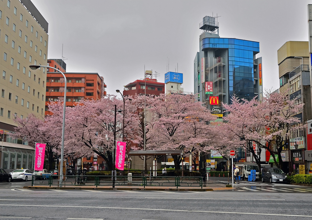 駒込駅前