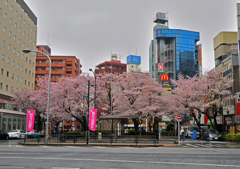 駒込駅前