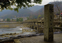 雨の渡月橋