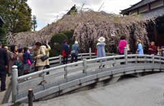 玉蔵院