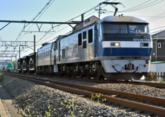 EF210-173