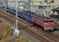 EF81-81