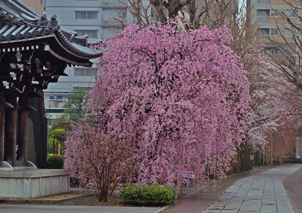 諏訪山吉祥寺