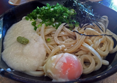 温玉とろろぶっかけうどん (4)