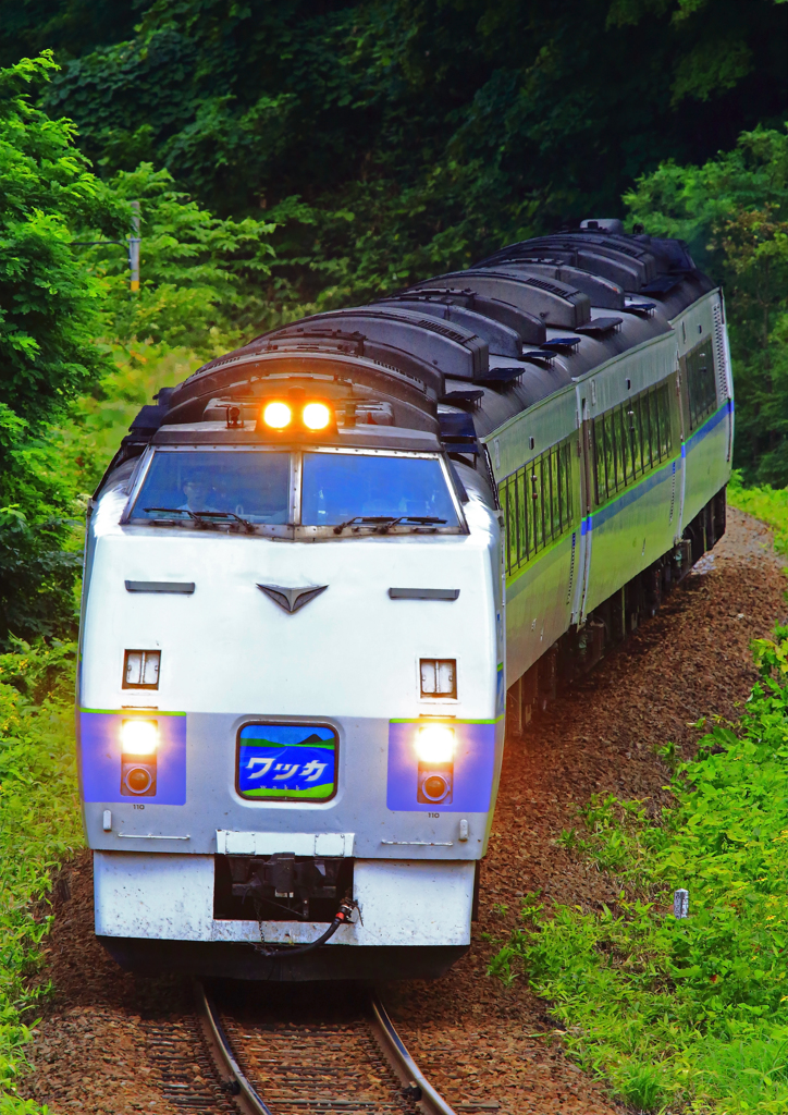 キハ183系200