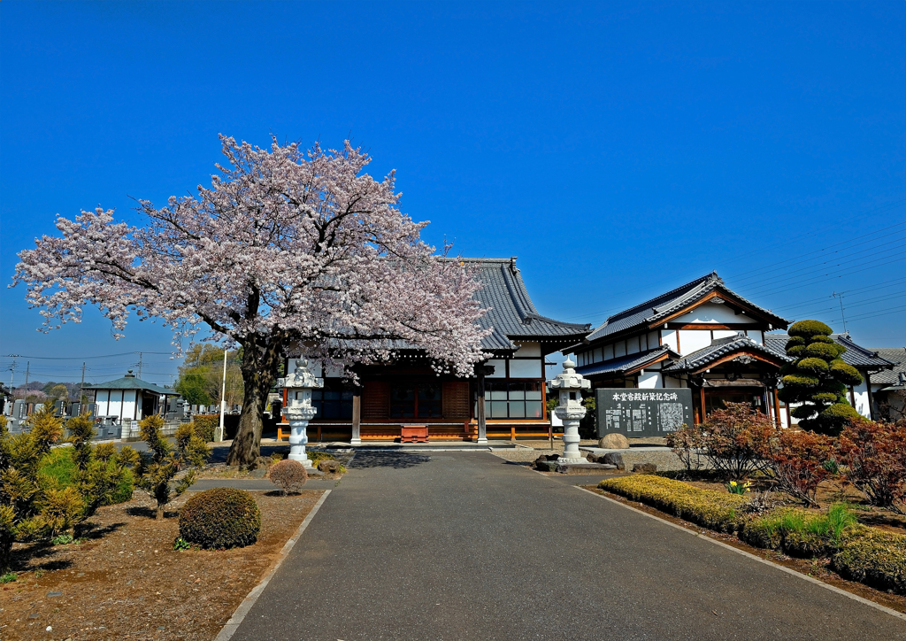龍真寺
