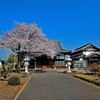 龍真寺