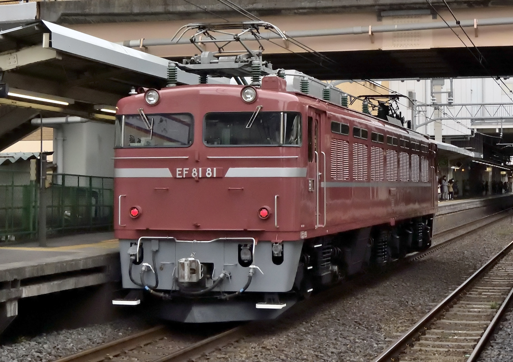 EF81-81