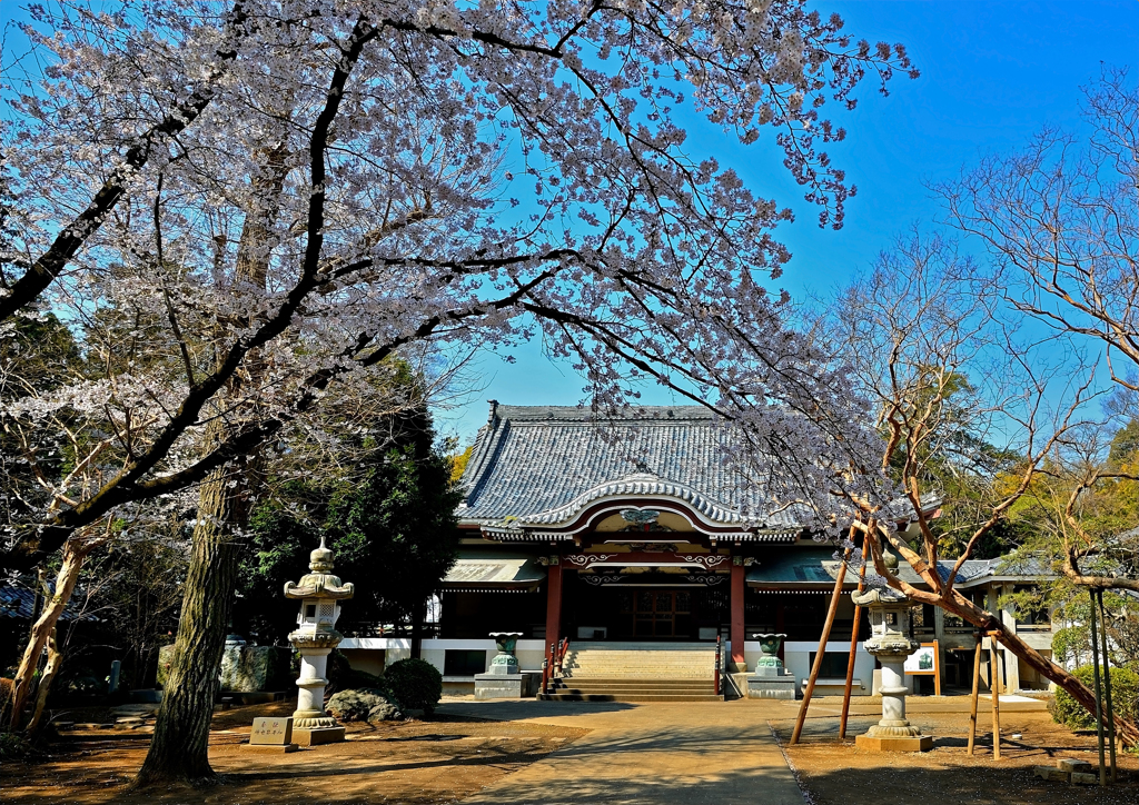 明星院