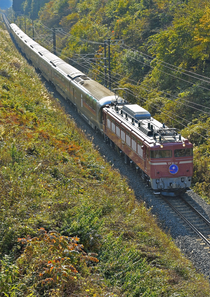 EF81-81