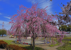 上平公園