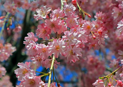 上平公園
