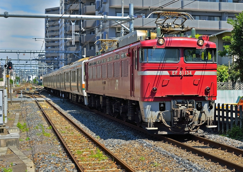 EF81-134