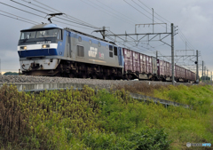 EF210-149