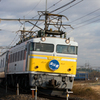 EF81-92