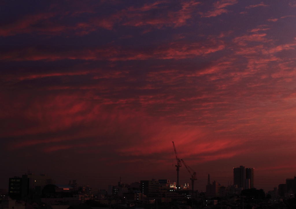 夕日