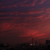 夕日