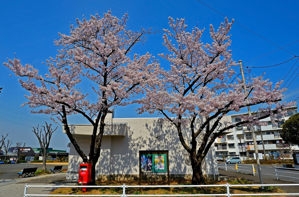 上尾シラコバト住宅