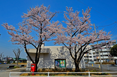 上尾シラコバト住宅