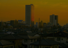 レンズテスト夕景（横）