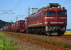 EF81-33 
