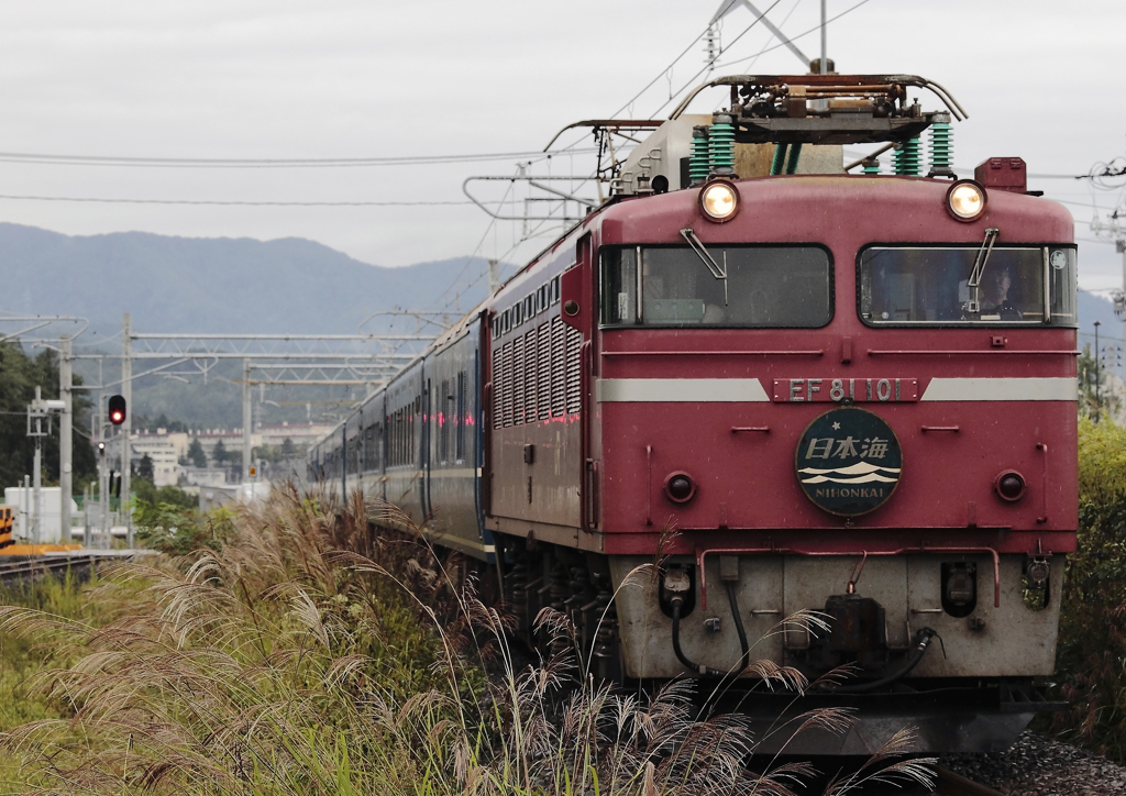 EF81-101