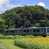 里山に溶け込む電池車